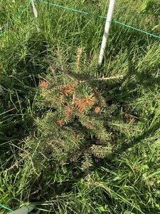 IMG_9846.jpeg