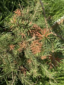 IMG_9847.jpeg
