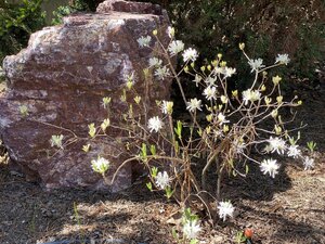 IMG_8852.jpeg