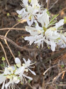 IMG_8865.jpeg