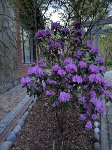 IMG_8836.jpeg
