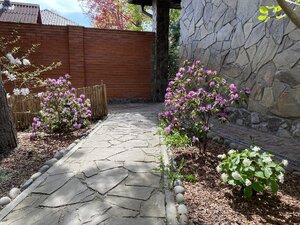 IMG_8831.jpeg