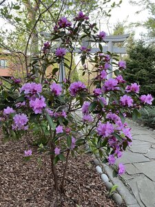 IMG_8813.jpeg