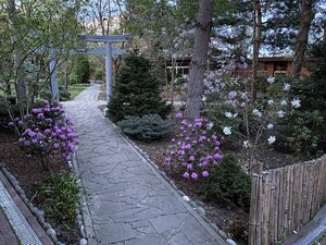 IMG_8833.jpeg