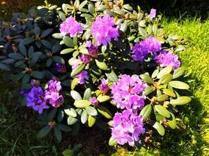 IMG_20240526_195147.jpg