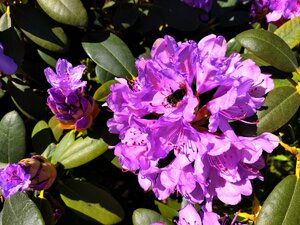 IMG_20240526_194958.jpg