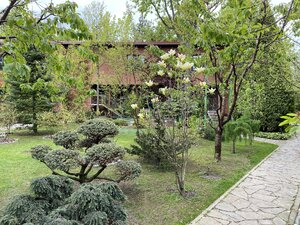 IMG_9166.jpeg