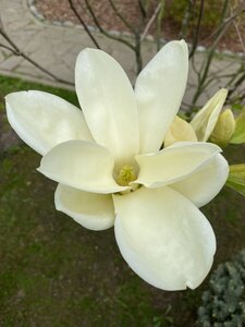 IMG_9168.jpeg