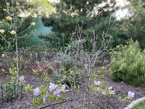 IMG_9206.jpeg