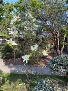 IMG_9214.jpeg
