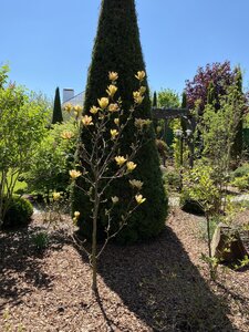 IMG_9233.jpeg