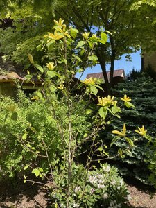 IMG_9392.jpeg