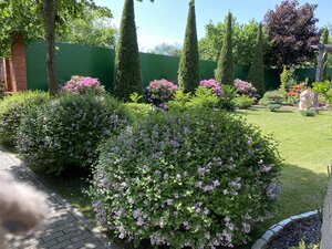IMG_9623.jpeg
