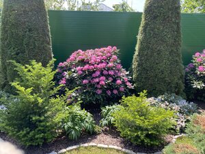 IMG_9624.jpeg