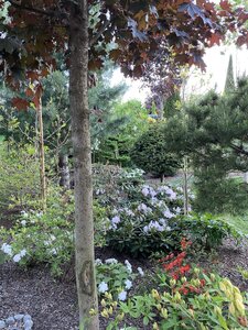 IMG_9344.jpeg
