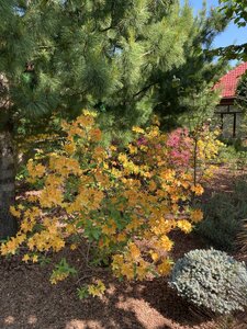 IMG_9603.jpeg