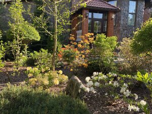 IMG_9592.jpeg