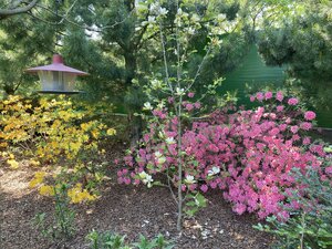 IMG_9561.jpeg