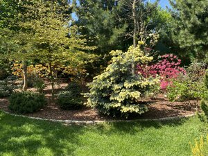 IMG_9514.jpeg
