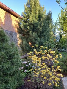 IMG_9295.jpeg