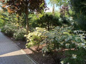IMG_9606.jpeg