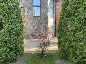 IMG_9585.jpeg