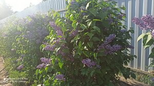 e84171fe-2e16-4761-b835-996d1d083f12.jpg