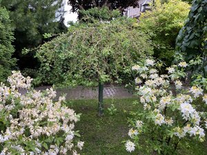 IMG_9656.jpeg