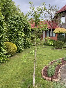 IMG_9657.jpeg