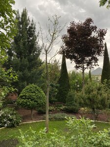 IMG_9635.jpeg