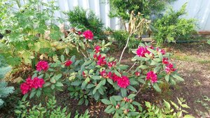 20240601_081931.jpg