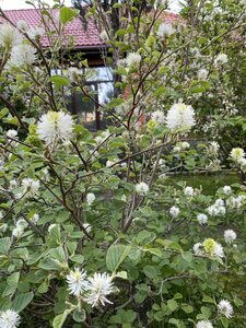 IMG_9304.jpeg