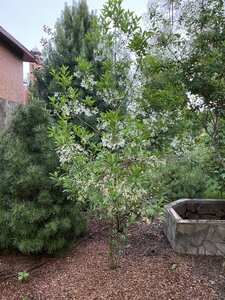 IMG_9688.jpeg