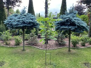 IMG_9793.jpeg