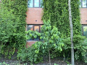 IMG_9882.jpeg