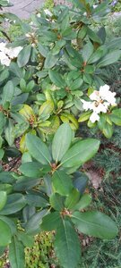 IMG-20240627-WA0002.jpg
