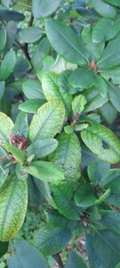 IMG-20240627-WA0003.jpg