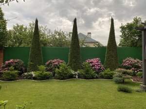 IMG_9645.jpeg