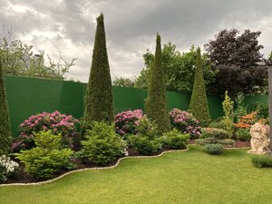 IMG_9646.jpeg