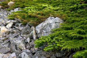 DSC_0776.jpg