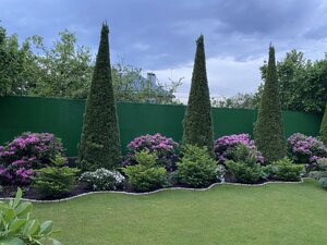 IMG_9658.jpeg