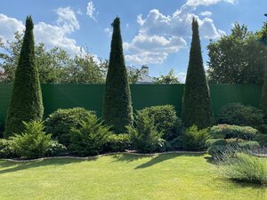 IMG_9952.jpeg