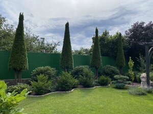 IMG_0026.jpeg