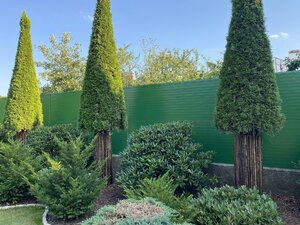 IMG_0063.jpeg