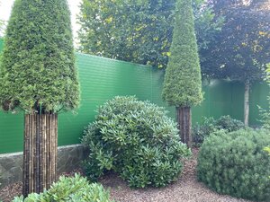 IMG_0064.jpeg