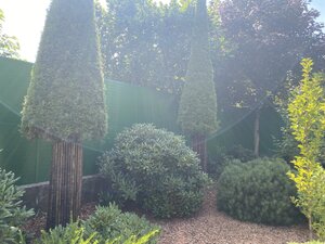 IMG_0055.jpeg