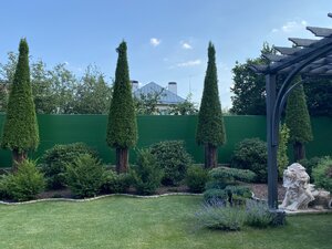 IMG_0068.jpeg