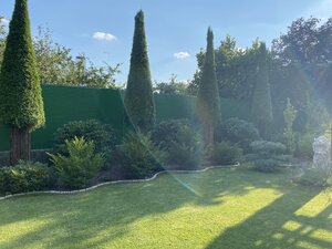 IMG_0061.jpeg