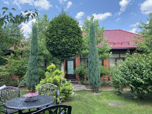 IMG_0004.jpeg