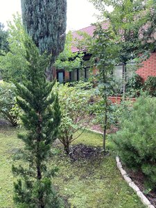 IMG_0222.jpeg